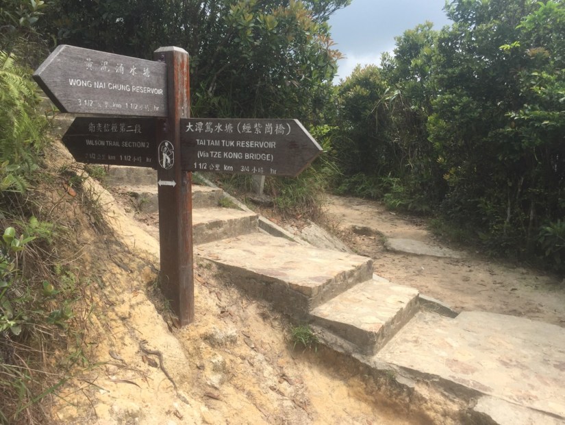 Around Violet Hill April 2016-6