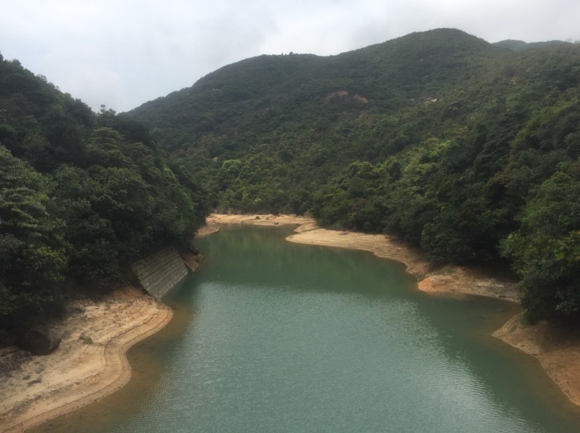 Around Violet Hill April 2016-9