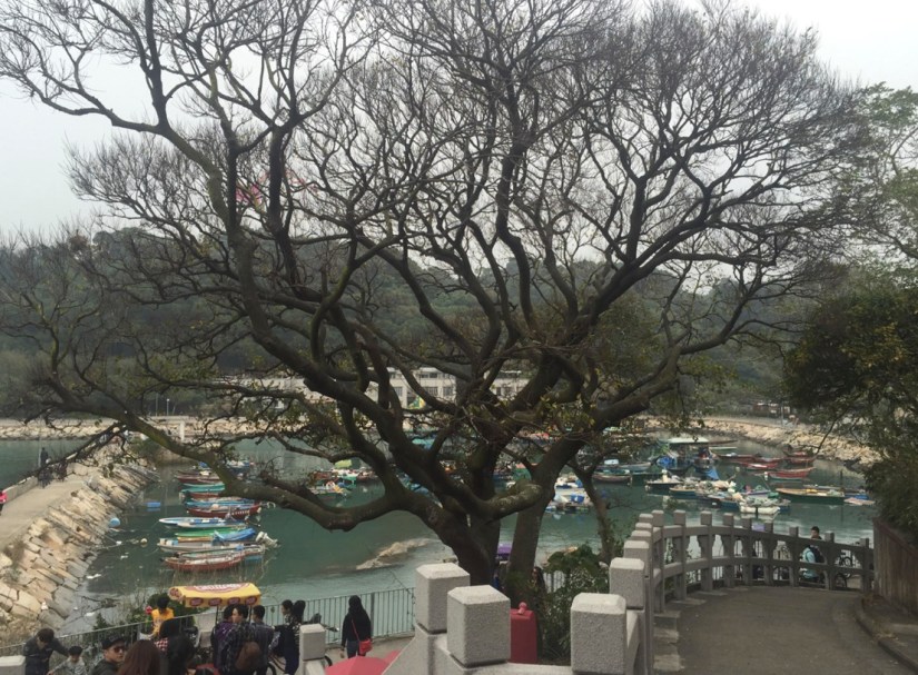 Cheung Chau 4