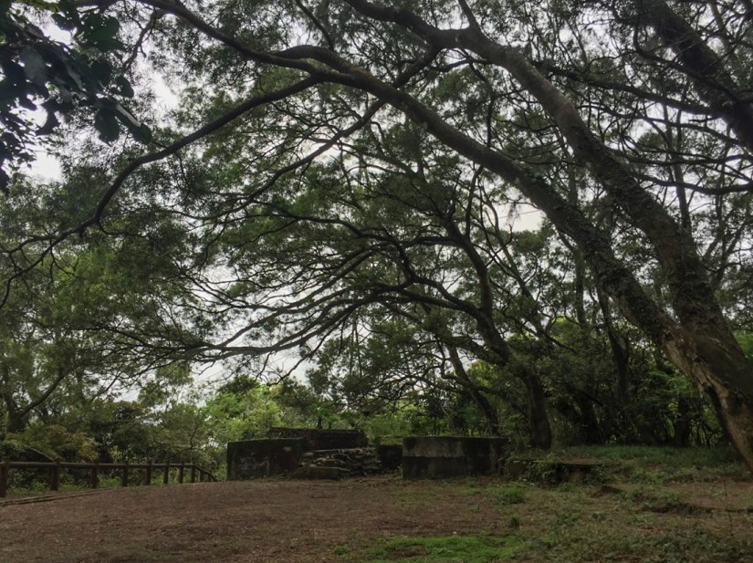 Wong Nai Chung Gap Trail Hong Kong Island April 2016-4