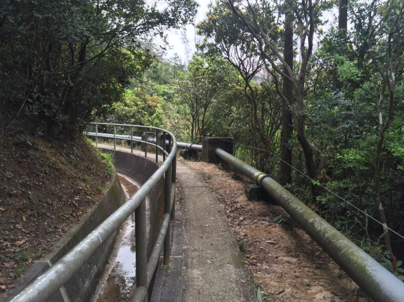 Wong Nai Chung Gap Trail Hong Kong Island April 2016-7