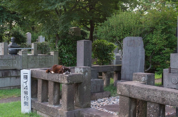 Tokyo Aoyama Cemetery 2015-8