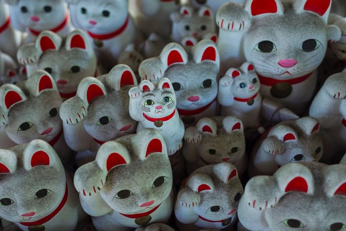 Tokyo Gotokuji Cat Shrine 2015-12