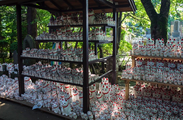 Tokyo Gotokuji Cat Shrine 2015-8