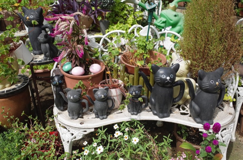 Tokyo Imado Jinja Shrine Oct 2015-10