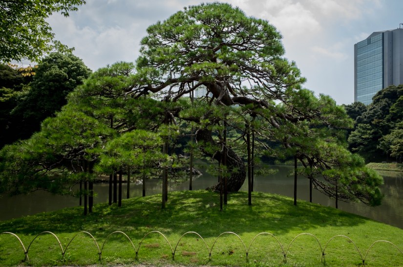 Tokyo Koshikawa Korakuen 2015-3