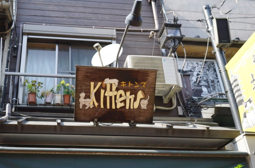 Tokyo Yanaka May 2016-3