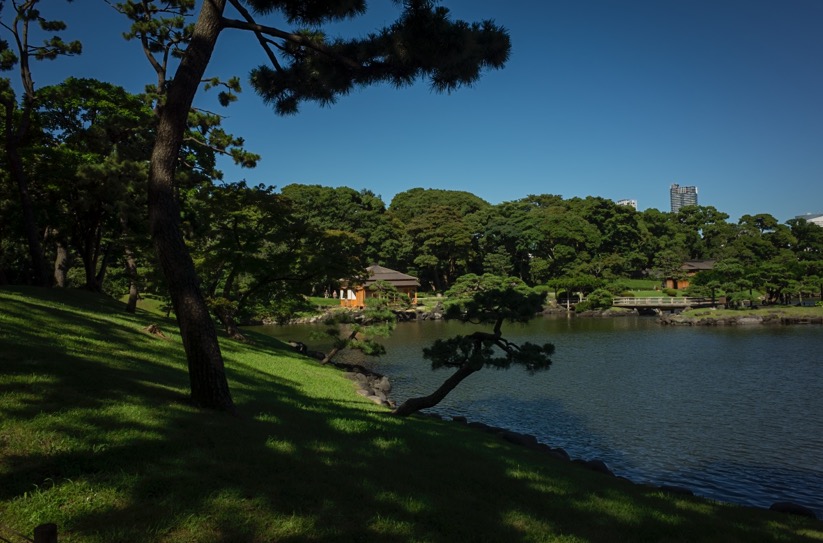 Tokyo Hama Rikyu Garden 2015-2