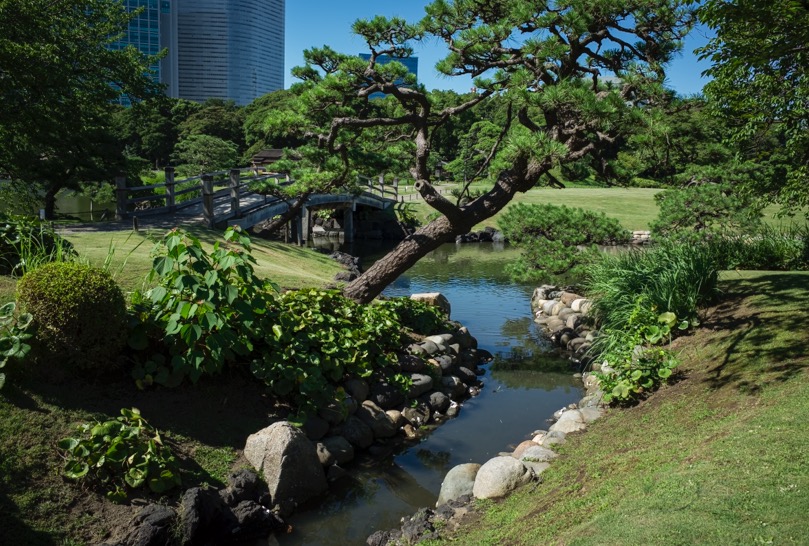 Tokyo Hama Rikyu Garden 2015-4