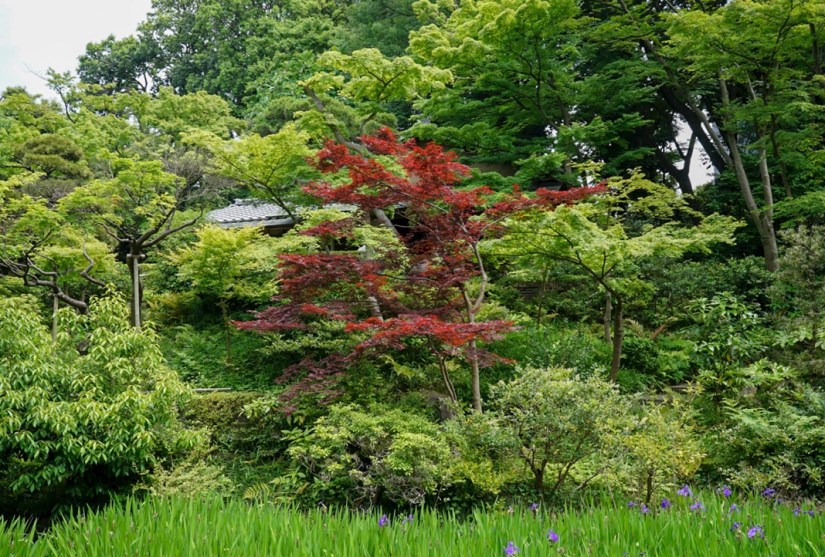 Tokyo Nezu Museum May 2016-6