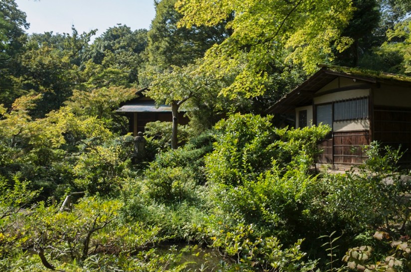 Tokyo Nezu Museum Sep 2015-6