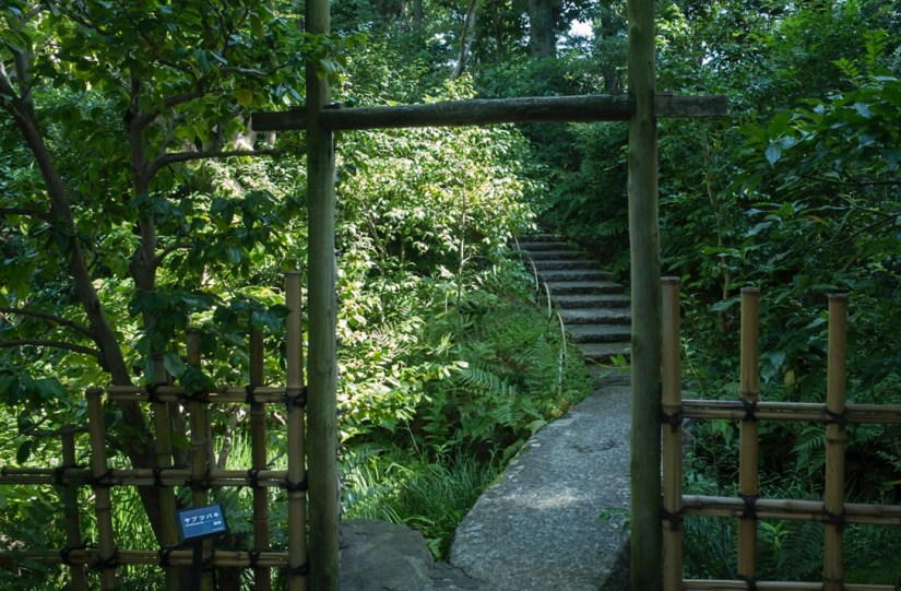 Tokyo Nezu Museum Sep 2015-8