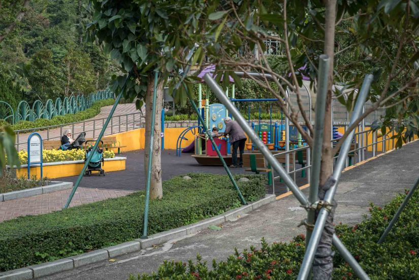 16 - Macau Giant Panda - Jan 2019