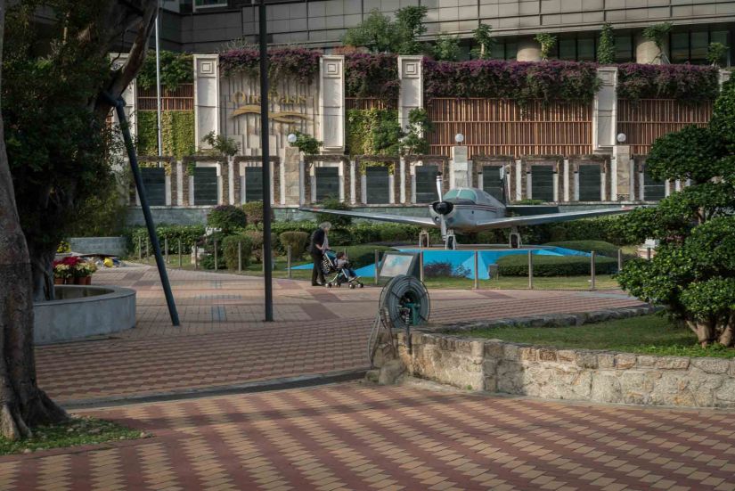 18 - Macau Giant Panda - Jan 2019